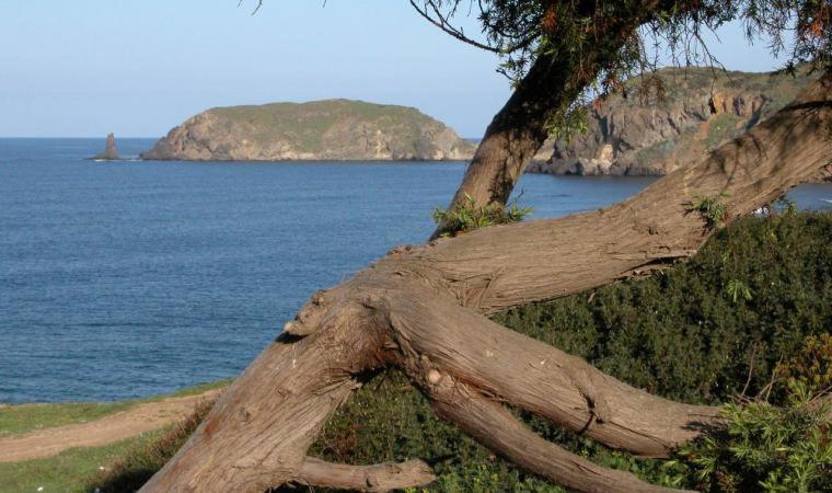 Appartamento In Casa Con Cortili Ad Arbus - Sardegna 외부 사진